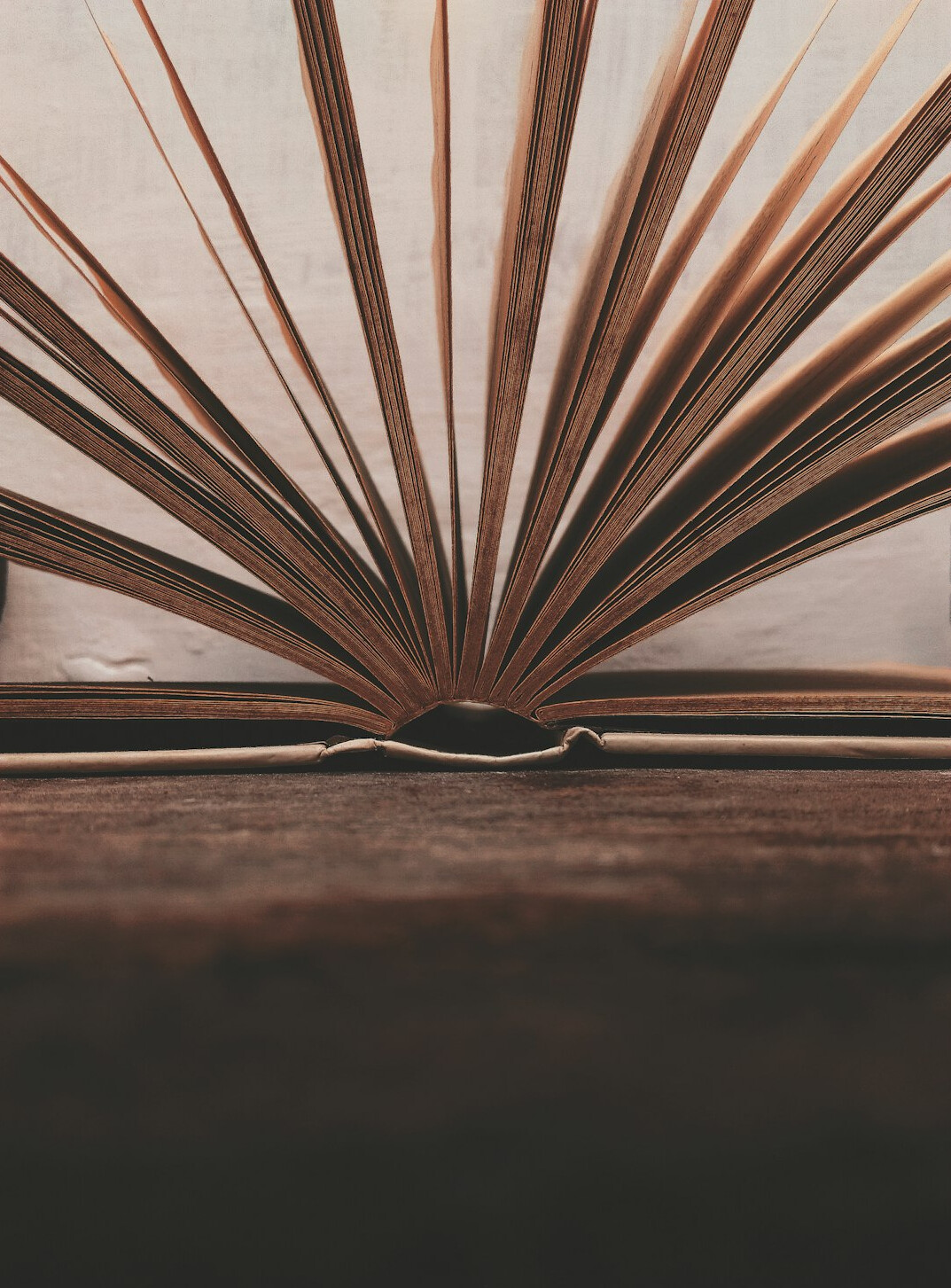 Open book with pages fanned out